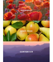 Спрей для тіла Canyon Bloom