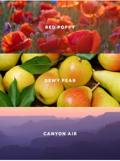 Спрей для тіла Canyon Bloom