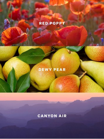 Спрей для тела Canyon Bloom