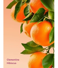 Подарунковий набір 3-Piece Clementine Hibiscus Feel Energized Travel Set