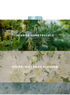 Спрей для тіла Coastal Blooms