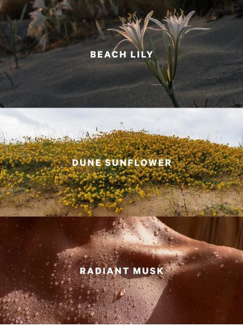 Спрей для тела Sundrenched Blooms