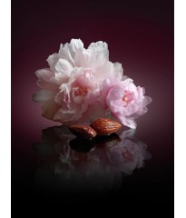 Спрей Velvet Petals Intense Fragrance Mist