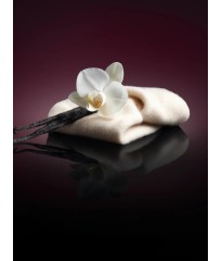 Спрей Bare Vanilla Intense Fragrance Mist