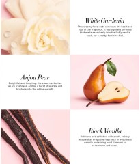  Набір спрей+лосьйон Tease Fine Fragrance Set