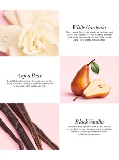 Набор спрей+лосьон Tease Fine Fragrance Set