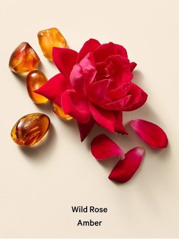 Спрей Hair & Body Mist Wild Rose Amber