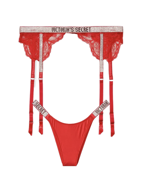 Набір трусики та пояс Shine Strap Garter Belt Set