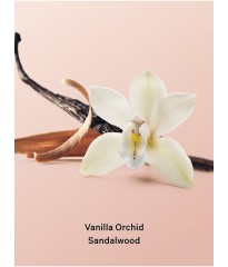 Олія для тіла Vanilla Orchid Sandalwood Shimmer Body Oil