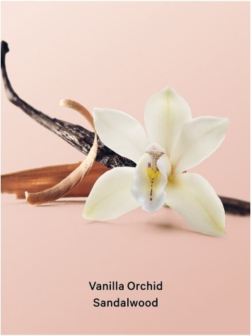 Набір Vanilla Orchid Sandalwood Set
