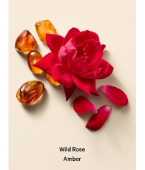 Скраб для тіла Спрей Hair & Body Mist Wild Rose Amber