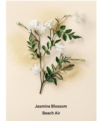 Лосьйон Love Spell Vacation Fragrance Lotion