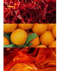 Лосьйон Golden Saffron Amber Fragrance Lotion