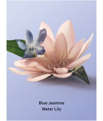 Набір Blue Jasmine Water Lily Set