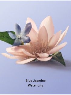 Набір Blue Jasmine Water Lily Set