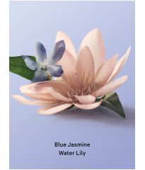 Гель для душу Blue Jasmine Water Lily