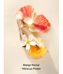 Лосьйон Mango Temptation Fragrance Lotion
