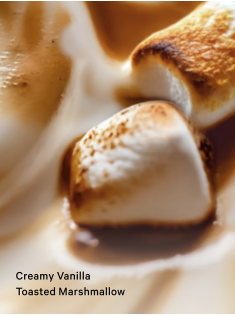 Лосьон Bare Vanilla Brulee Fragrance Lotion