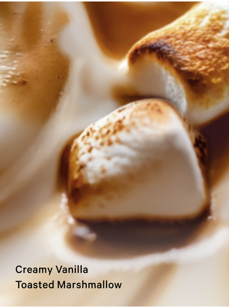 Лосьон Bare Vanilla Brulee Fragrance Lotion