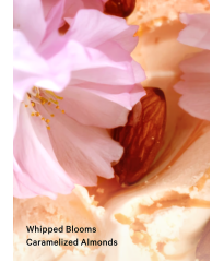 Лосьйон Velvet Petals Brulee Fragrance Lotion