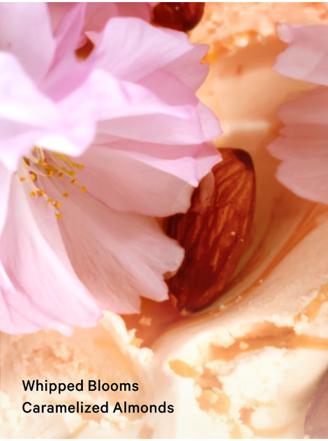 Лосьон Velvet Petals Brulee Fragrance Lotion
