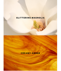 Лімітований спрей Radiant Wings Shimmer Fragrance Mist