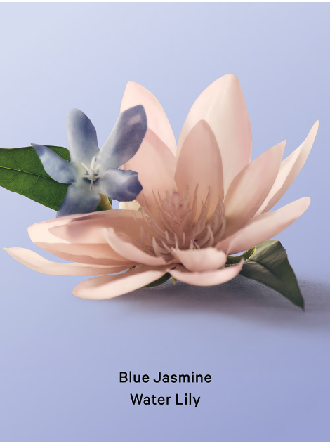 Лосьон Blue Jasmine Water Lily Hydrating Body Lotion