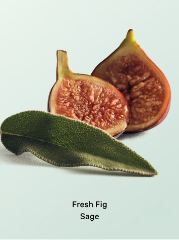 Лосьон Fresh Fig Sage Hydrating Body Lotion