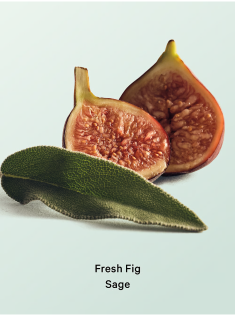 Лосьон Fresh Fig Sage Hydrating Body Lotion