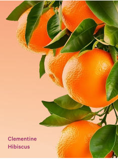 Лосьйон Clementine Hibiscus Hydrating Body Lotion