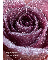 Спрей для тіла Cashmere Fleur