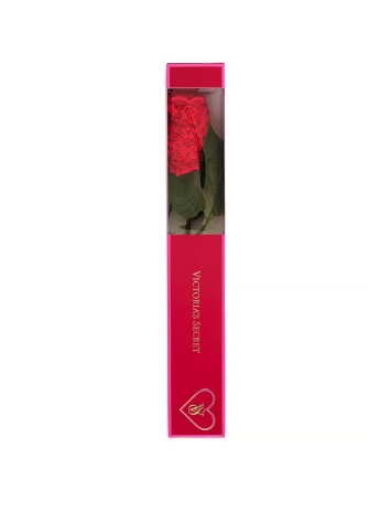 Трусики Lacie Rose Valentine Thong Panty Lipstick