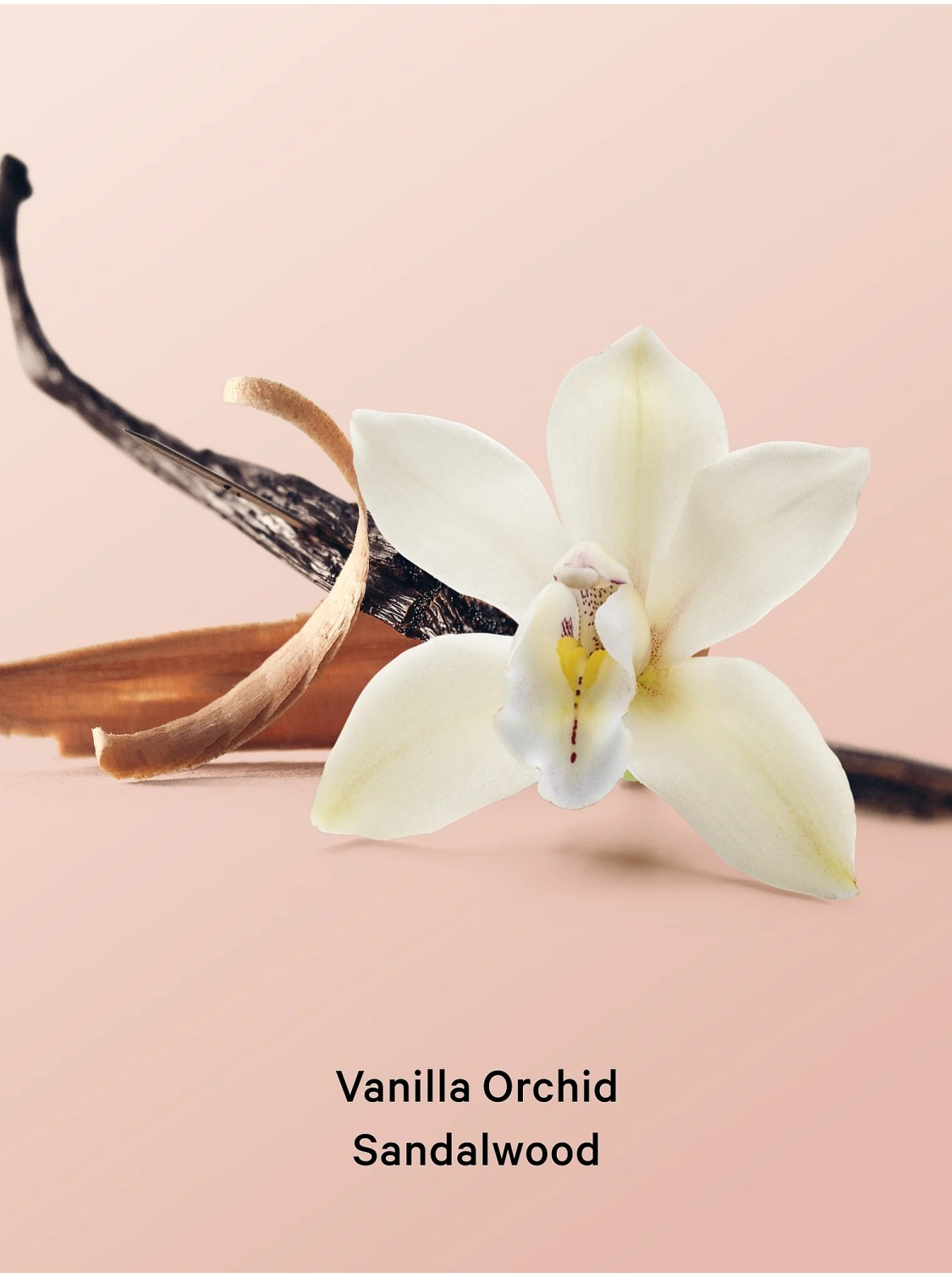 Спрей Vanilla Orchid Sandalwood Hair & Body Mist купить оригинал