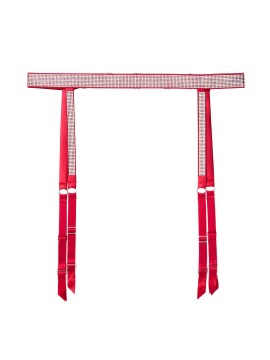 Пояс Victoria’s Secret VERY SEXY Shine Strap Garter Belt Lipstick