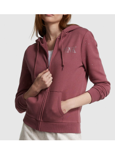 Спортивний костюм Спортивний костюм PINK Hoodie and Jogger Set