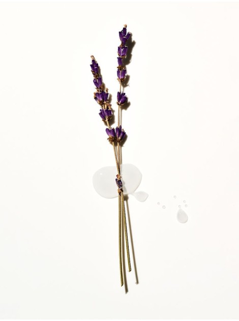 Лосьон для тела Lavender Body Lotion